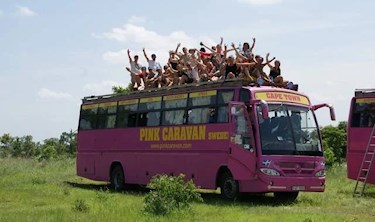 rosa bussarna afrika