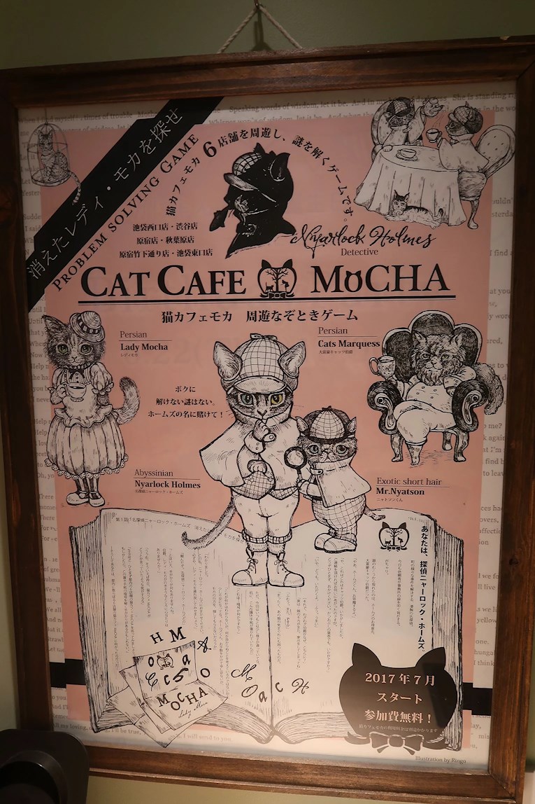 Mocha Cat Café
