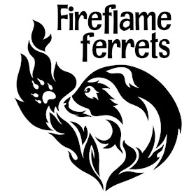 FireflameFerrets