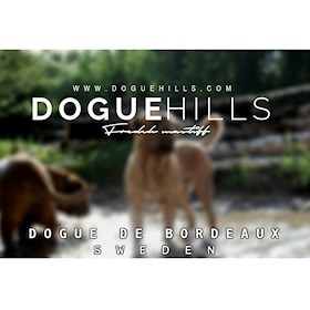 Doguehills